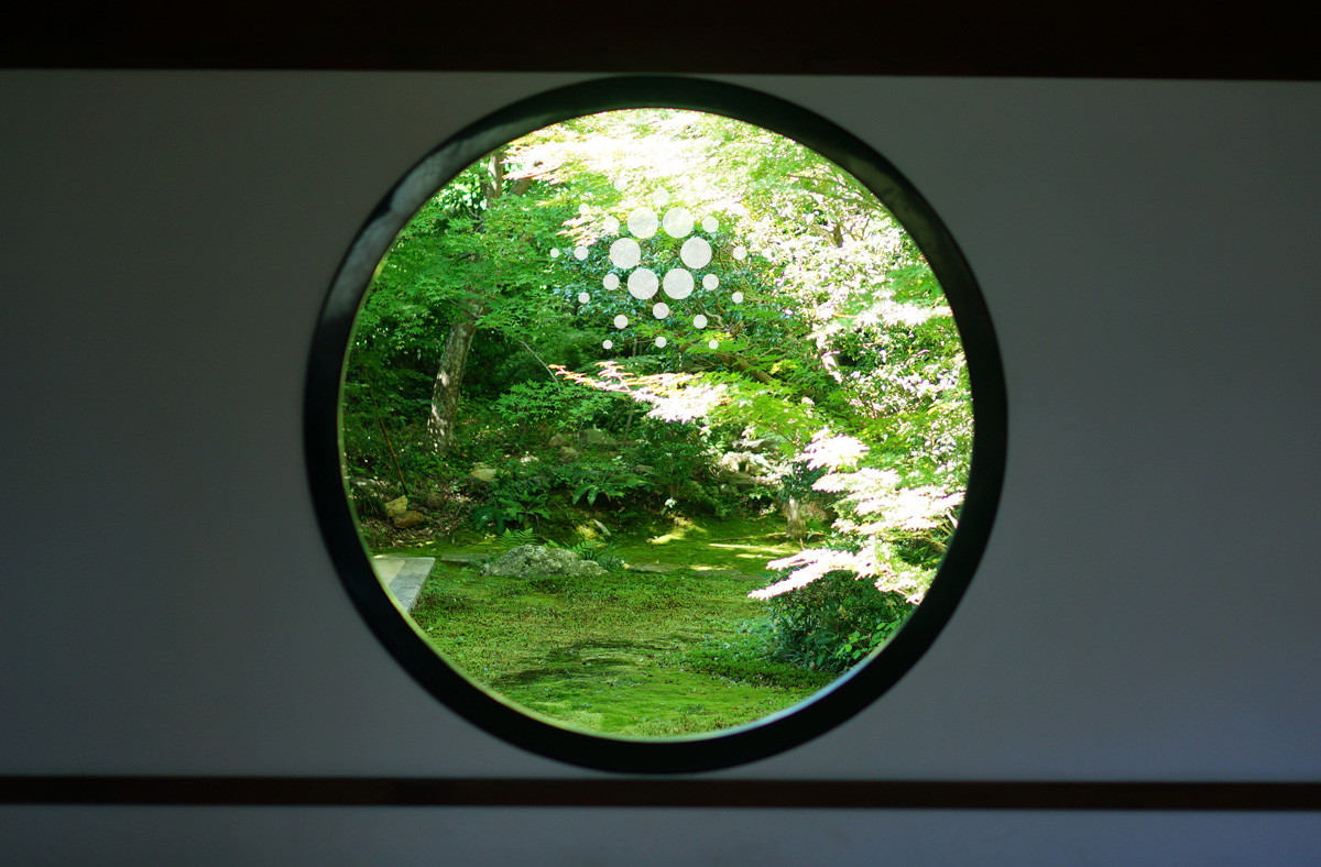 Q&A：カルダノ、ステーキングに関する基本的な説明集 – SIPO：Cardano ADA SITION Stake Pool