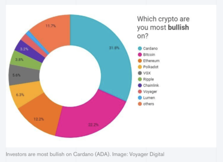 米国の個人投資家はビットコインよりもカルダノに強気：ボイジャー・デジタル調査