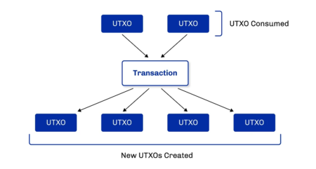 カルダノの拡張UTXO会計モデル – マルチアセットとスマートコントラクトをサポートするために構築（パート2）