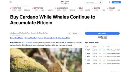 クジラがビットコインを貯め続ける間にカルダノを買う