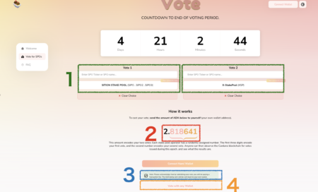 SundaeSwap 『SPO選考』のための投票ガイド