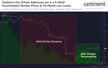 カルダノ（ADA）クジラが3月以降1億9000万ADA以上獲得 by U.TODAY