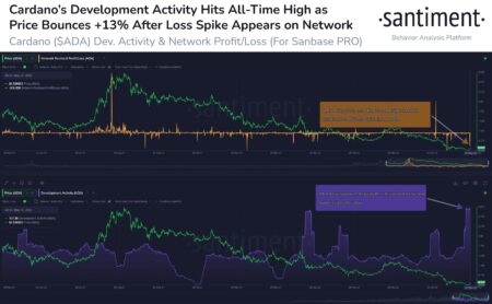 カルダノの開発活動がATHに到達、ADAがBUSDとXRPを抜いて6位の暗号に