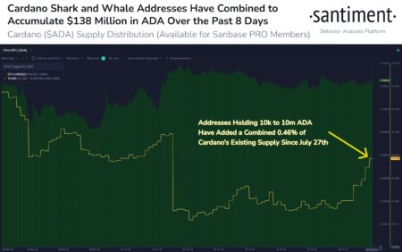 カルダノホエールズがADAで1億3800万ドルを獲得！面白くなりそうな理由はこれだ：Santiment