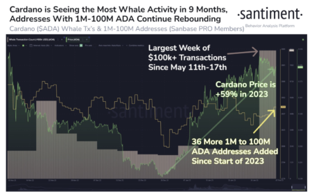 カルダノ（ADA）クジラの数は2023年に上昇する一方、4165億ドルのビットコインが取引所から消える：Santiment