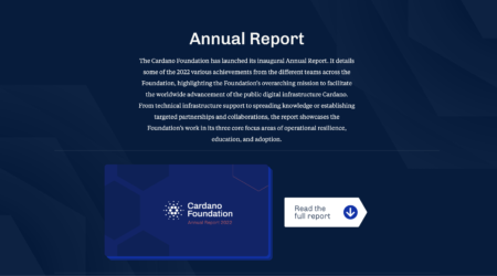 カルダノ財団、初の年次報告書で達成した重要なマイルストーンに注目