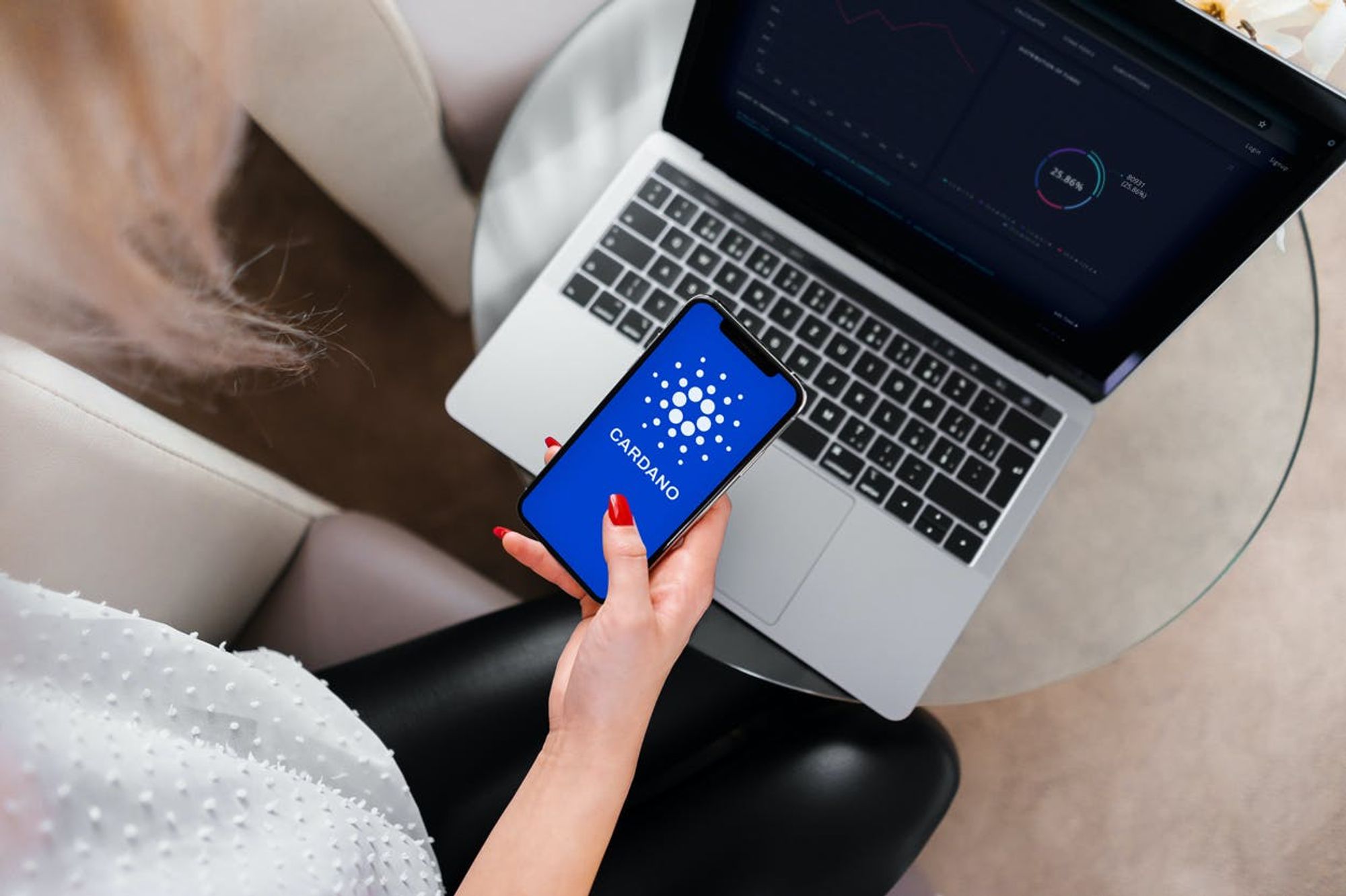 カルダノのオンボーディングガイド：カルダノの始め方 – SIPO：Cardano ADA SITION Stake Pool