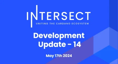 Intersect 開発アップデート #14 – 5月17日