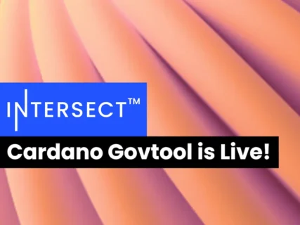Cardano GovToolのリリースを発表
