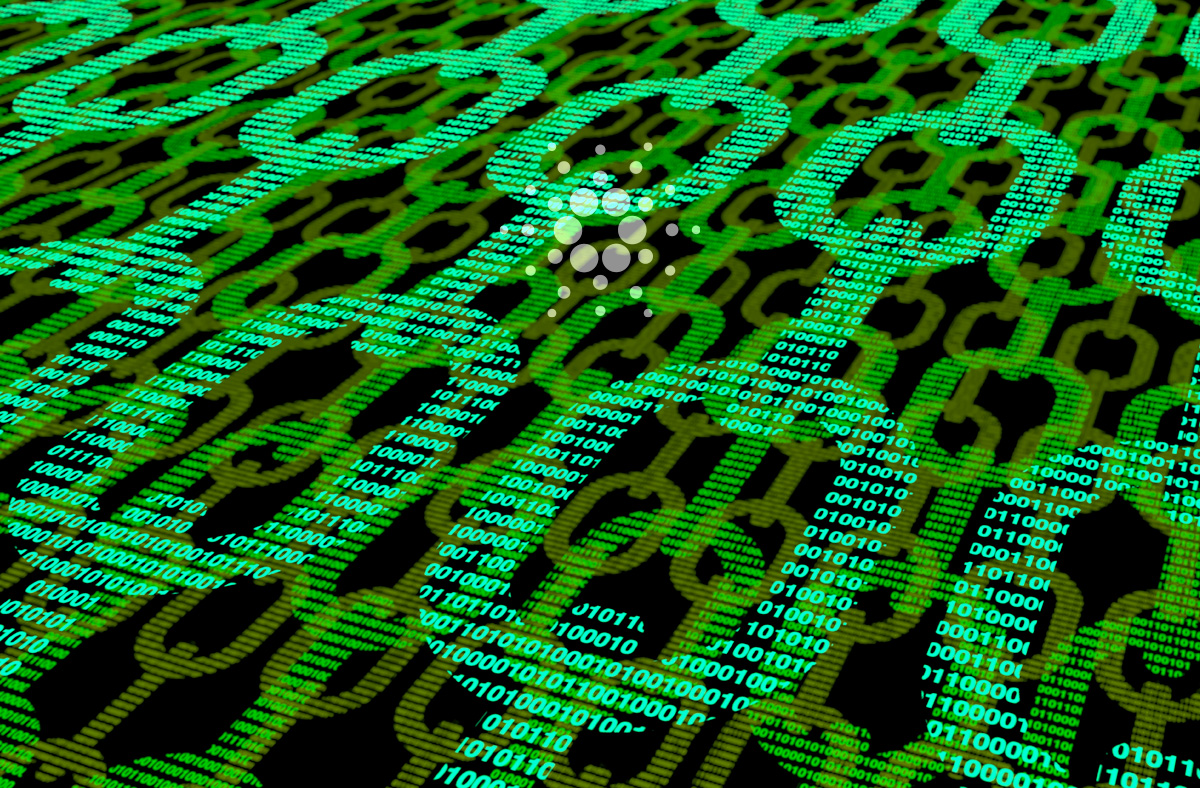 カルダノエポック v2025