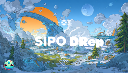 SIPO DRep「CARDANO BLOCKCHAIN ECOSYSTEM CONSTITUTION v2.4」解説と「Yes」投票の理由