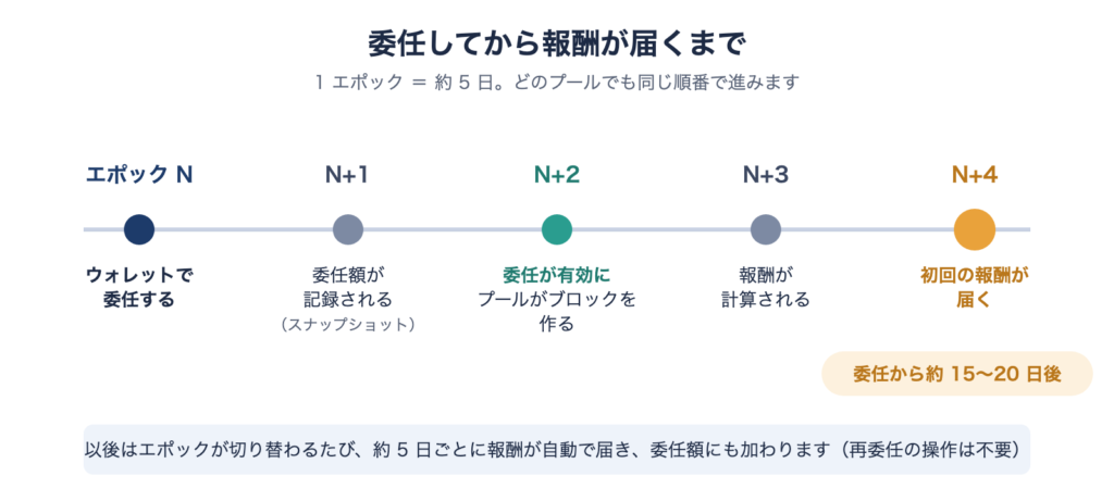 委任してから報酬が届くまでのタイムライン。エポック N で委任、N+1 で委任額を記録、N+2 で委任が有効になりプールがブロックを作る、N+3 で報酬を計算、N+4 で初回の報酬が届く(委任から約 15〜20 日後)。以後は約 5 日ごとに自動で届く